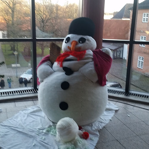 Toni Snow 1